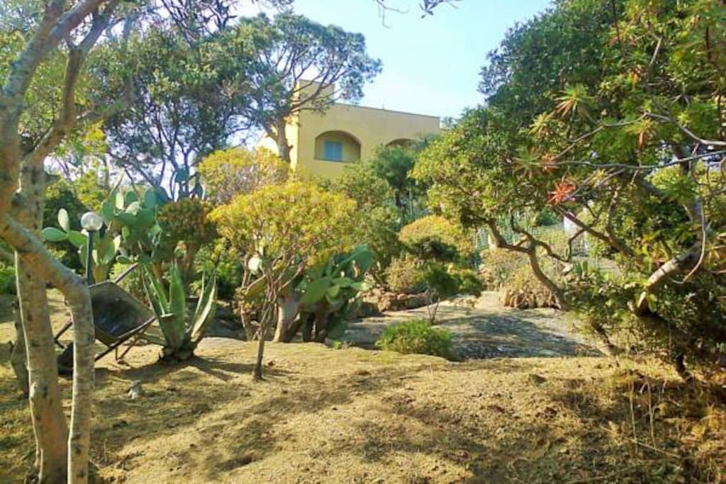 La villa vista dal giardino