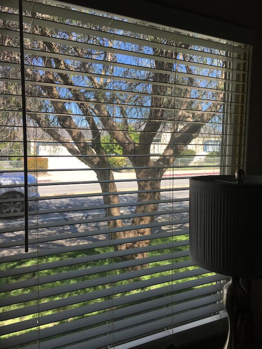 View from the front window.