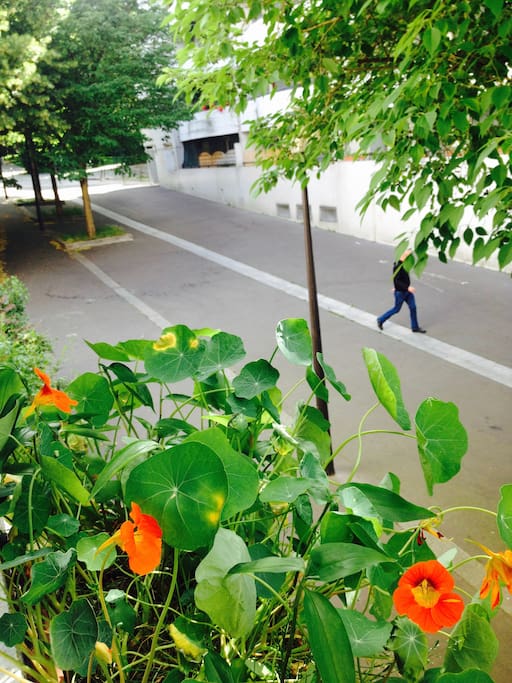 de la fenêtre, l'entrée du parc de Belleville