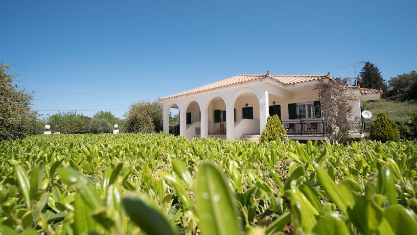 AGIOS LEON APARTMENT 2