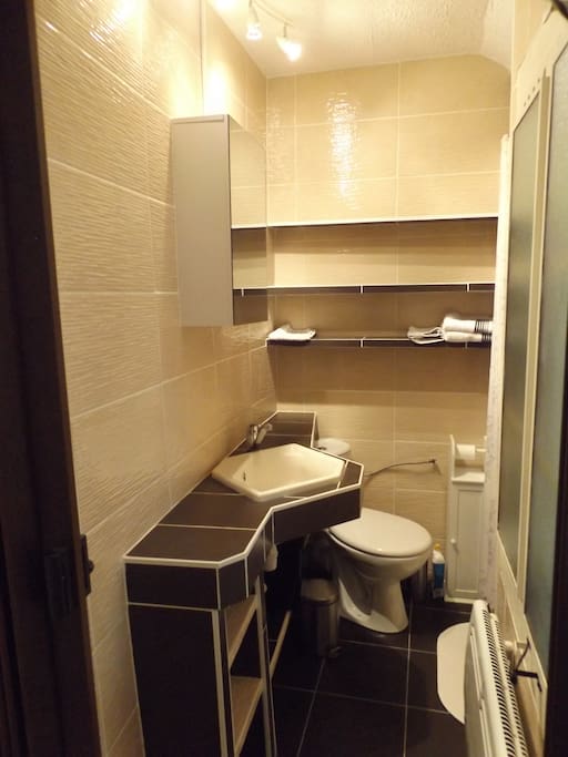 Salle de bain avec douche