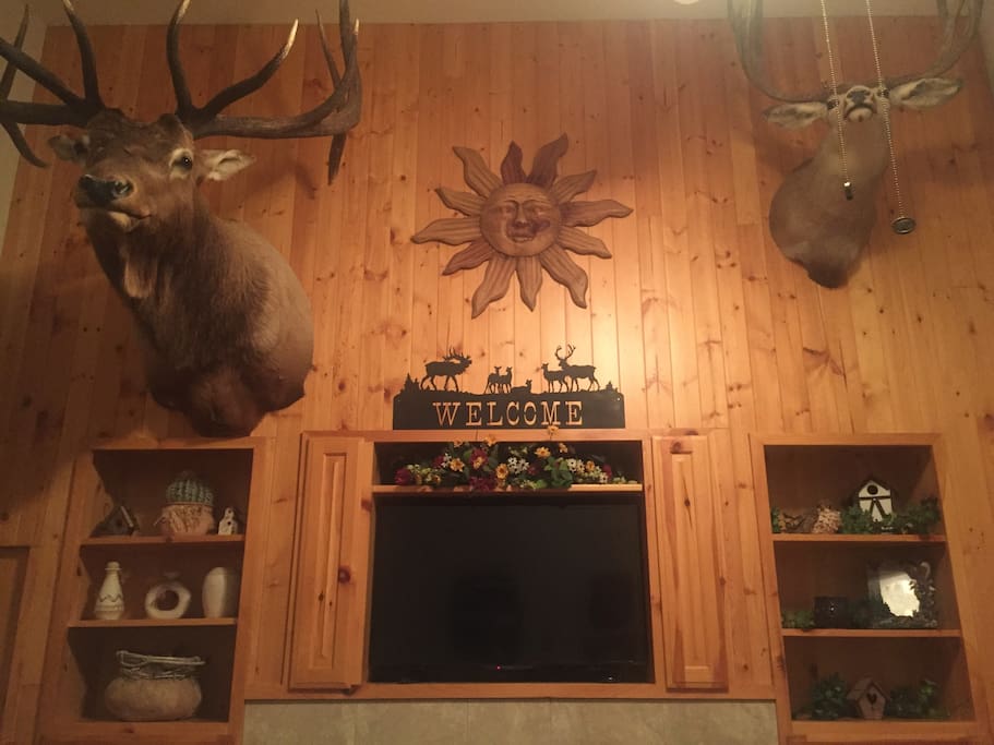Hope you don't mind the stuffed animals.
