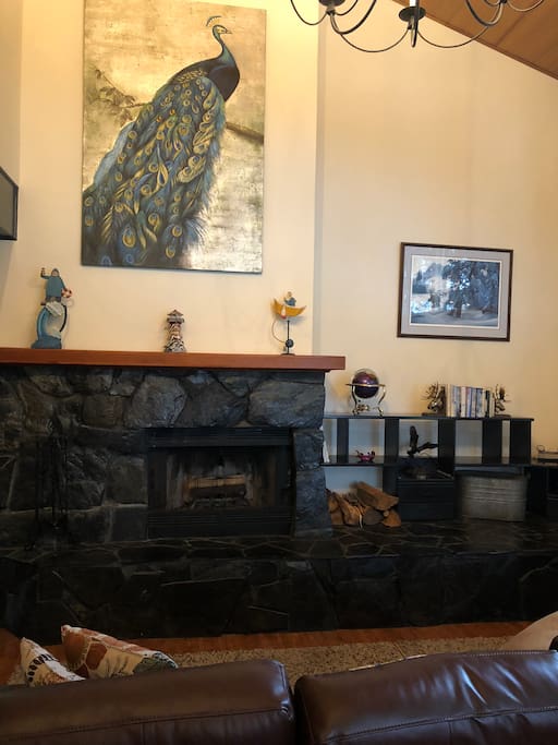Fire Place in Living Room