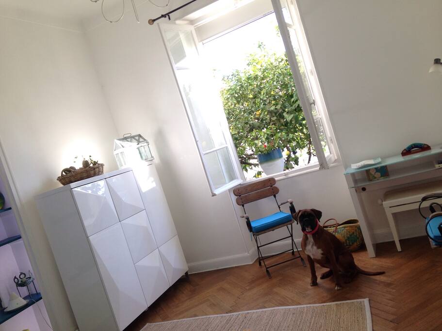 La chambre la journée avec la lumière du jardin et le citronnier devant la fenêtre.