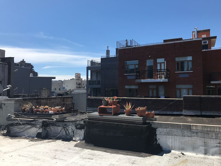 Rooftop views!