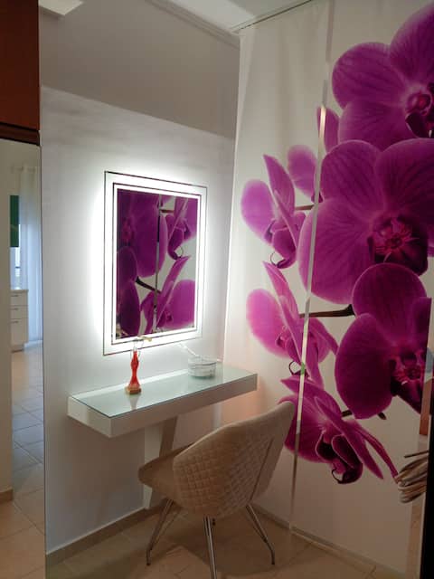 Orchid Studio 1