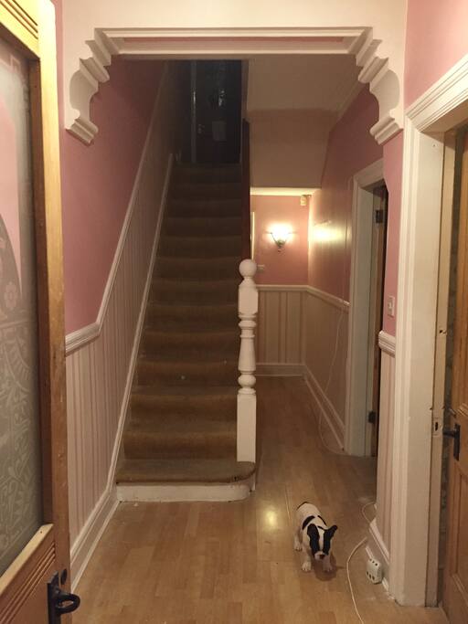 Pristine and elegant surroundings, also a very quiet french bulldog.