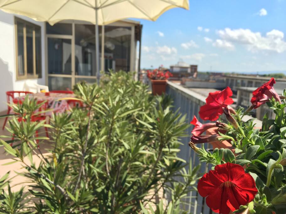 la terrazza
