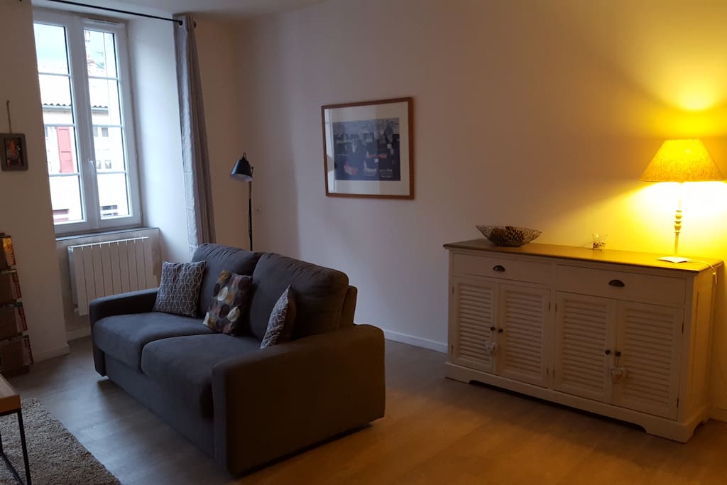 Salon avec canapé-lit (télé , WI-FI )
