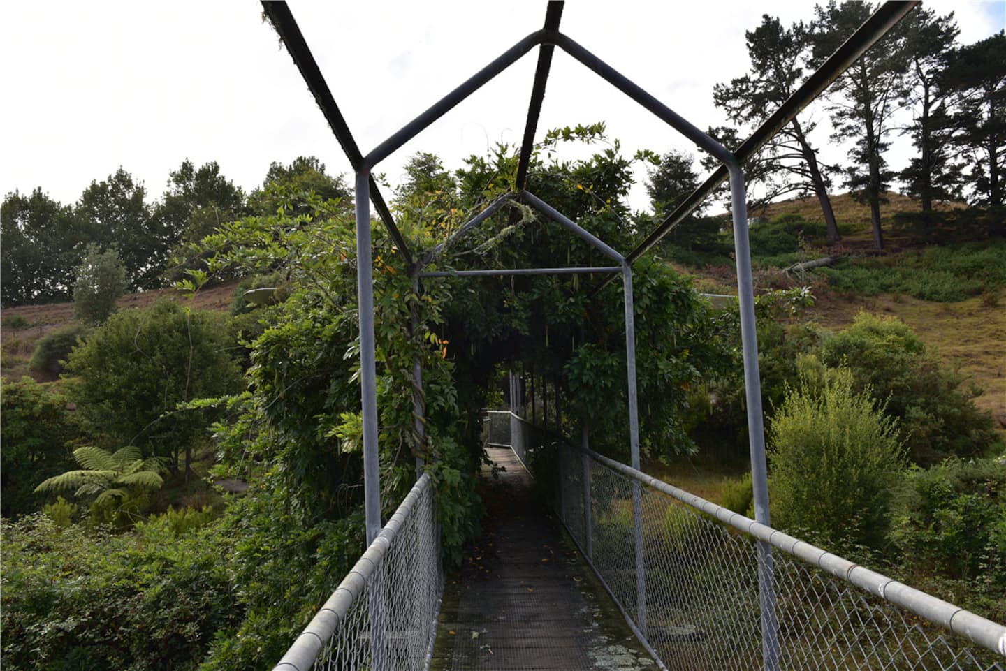 Waitomo Woodlyn Park Waitanic Endeavour Unit 5