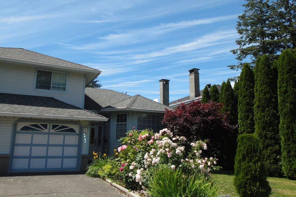 Our house in Summer blooming season. Flowers are blooming, love is filled in the air.
Your car will park here, right hand side on the drive way, face garage. very close to house entrance door. Welcome you to our home!
