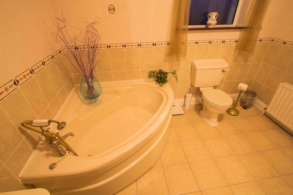 Large bathtub and shower