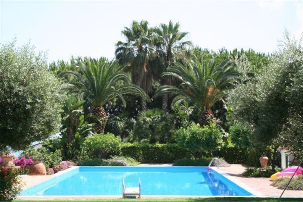 La piscina