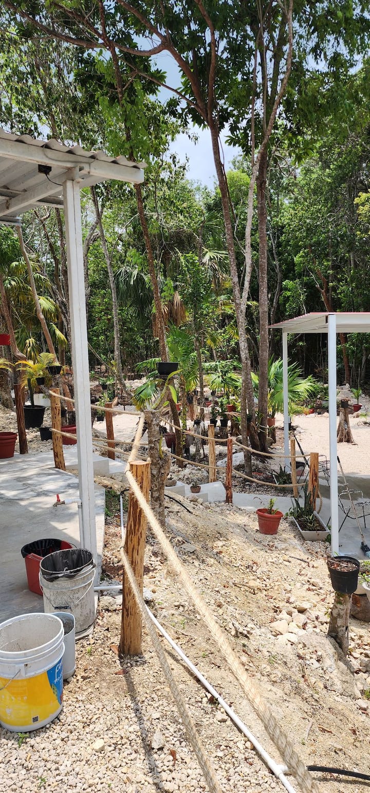 Small, quiet house in Quintana Roo