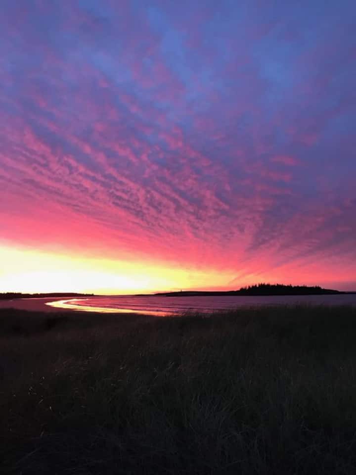 Driftwood Studio Oceanfront Bed on the beach. Tiny houses for Rent in