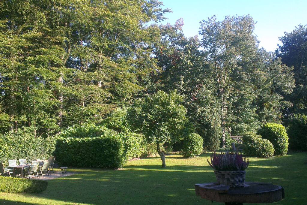 Back garden