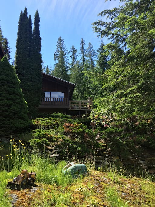 The cabin.