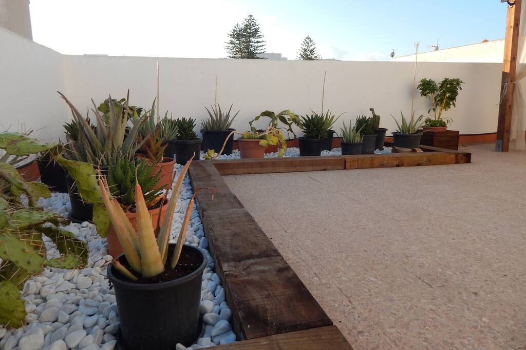 Terrace / Terrass / Terraza