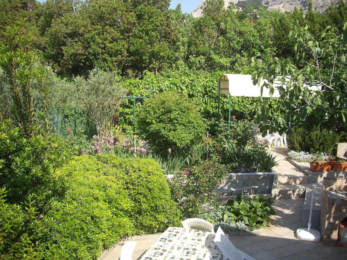 A lush garden is featured, showcasing a variety of greenery and colorful flowers. Comfortable seating is available on a tiled patio, offering opportunities for relaxation. A shaded area is visible, providing an inviting spot for outdoor enjoyment amidst the surrounding vegetation.