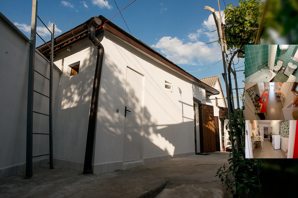 The exterior of the house is shown, featuring a clean white facade under a clear blue sky. A ladder is positioned against the wall, and a vine-covered area adds some greenery. The pathway leading to the entrance is unobstructed, allowing for easy access.