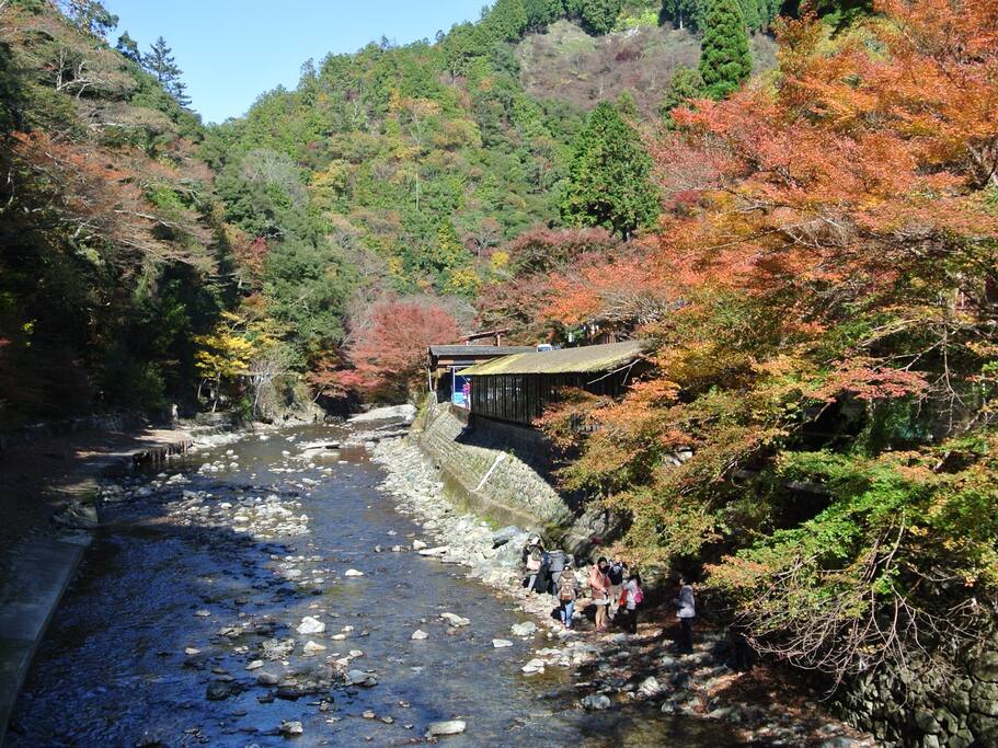 京都 赏枫第二弹 后花园高雄物语 京都旅游攻略 尽在airbnb爱彼迎 京都 赏枫第二弹 后花园高雄物语 京都旅游攻略 尽在airbnb爱彼迎