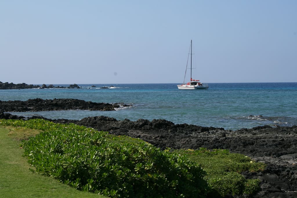 Boat,Coast,Outdoors,Sea,Water
