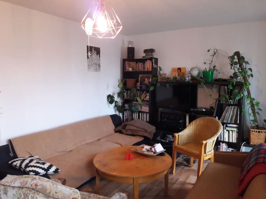 cozy living room