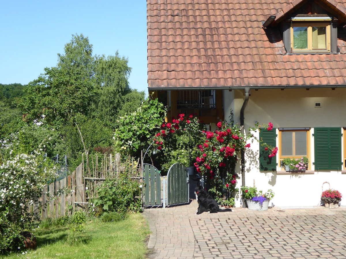 Großsteinhausen Vacation Rentals & Homes - Rhineland-Palatinate, Germany |  Airbnb