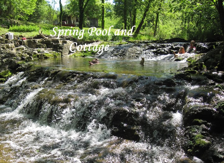 Yellville Cabins Cabins and More Airbnb