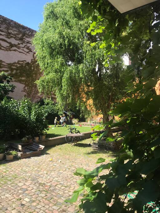 Our wonderful shared garden, seen through the vines surrounding our door.