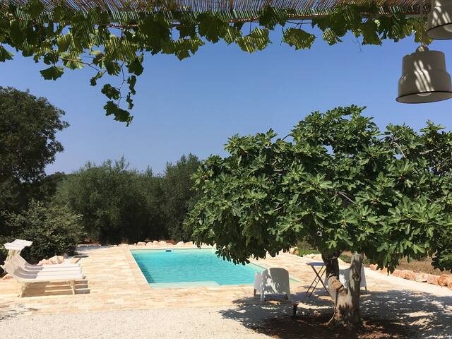 Trulli with pool in Monopoli for 5 guests gallery image 3