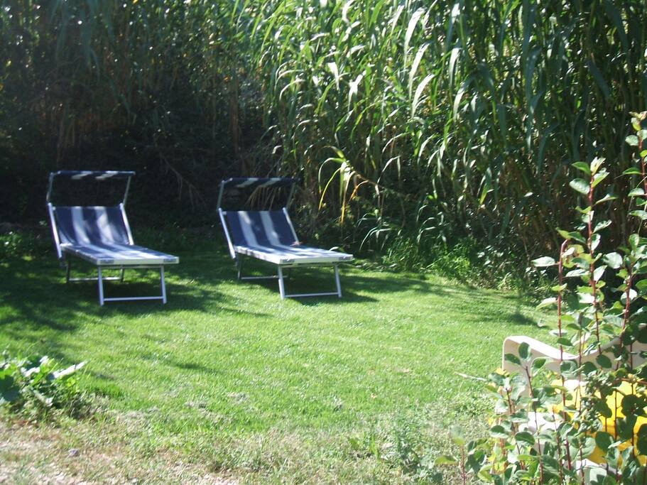 solarium nel nostro giardino