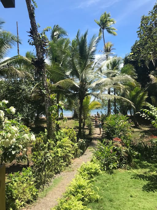Path from the house to the beach / Camino de la casa a la playa
