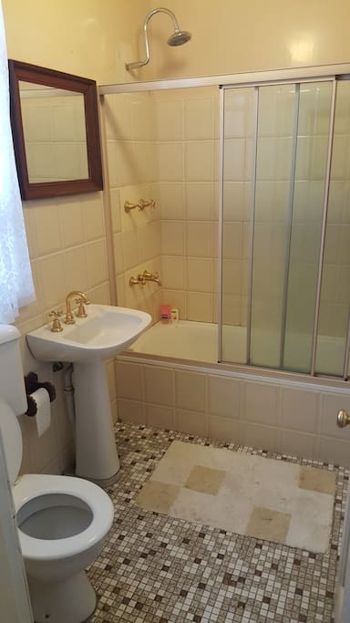Bathroom shower only and toilet