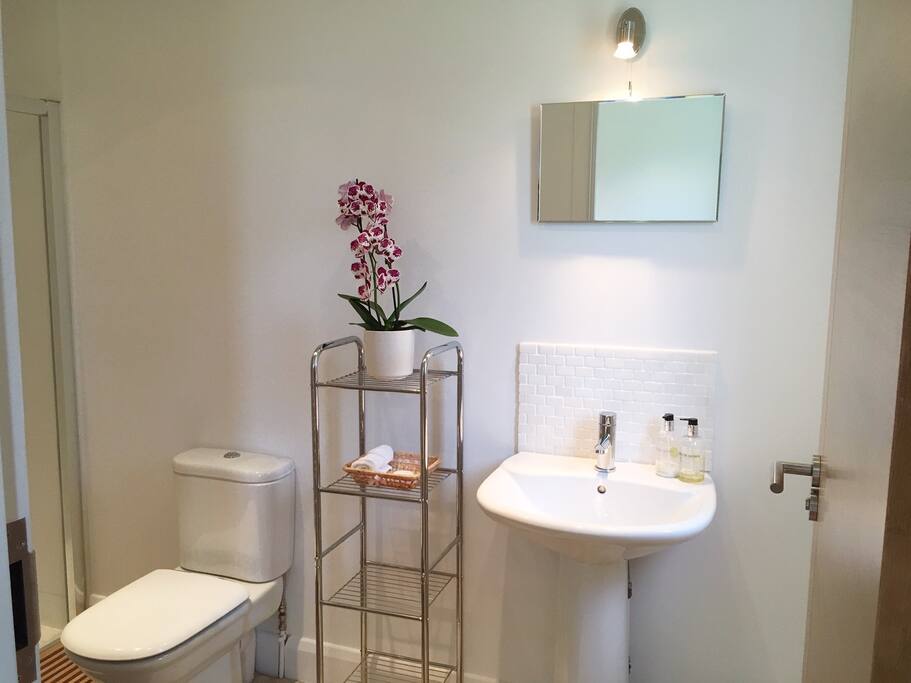 Ensuite Bathroom & walk-in shower