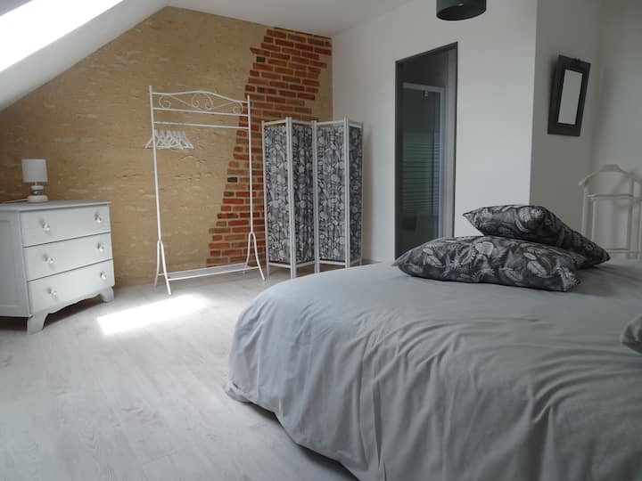 The "grey" bedroom has a toilet with a shower and sink