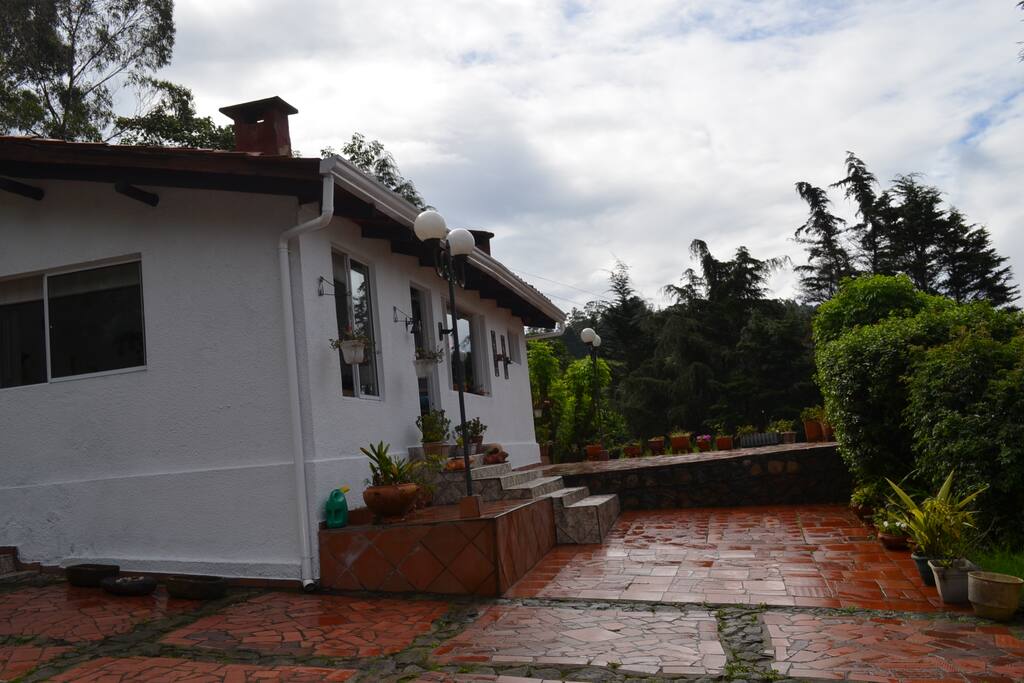 Terraza principal