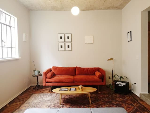 Cozy apartment in Roma Norte