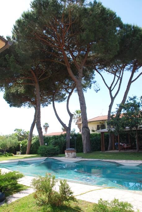piscina