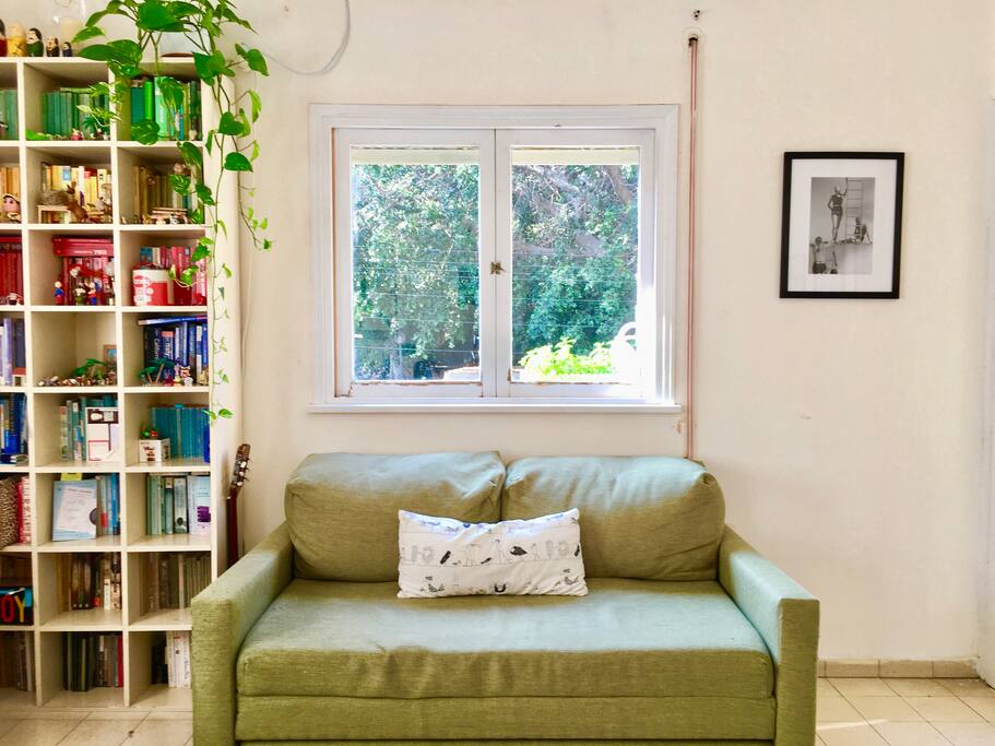 Fold-out couch