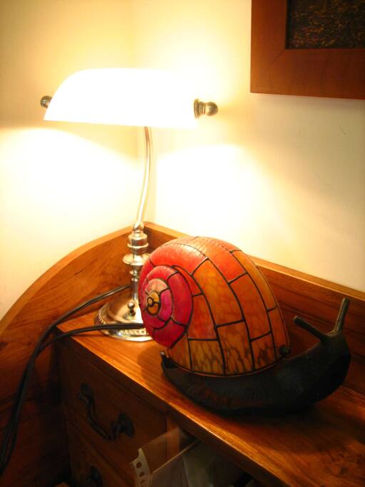 Cozy Seashell