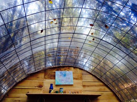 Stargazing Hut - Mossy Forest Glamping