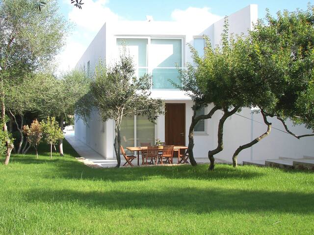 Terra gallery image 2