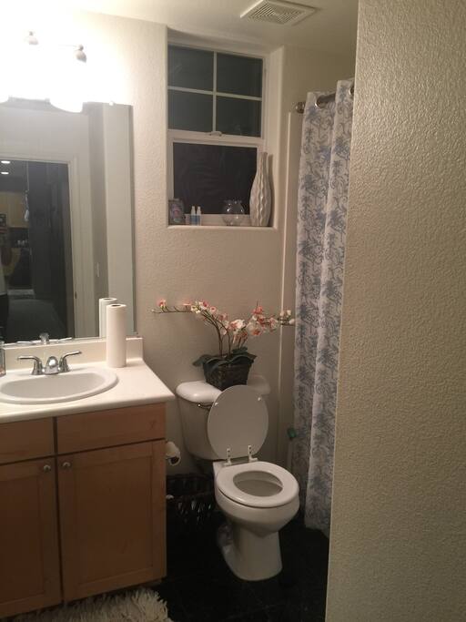Guest bath