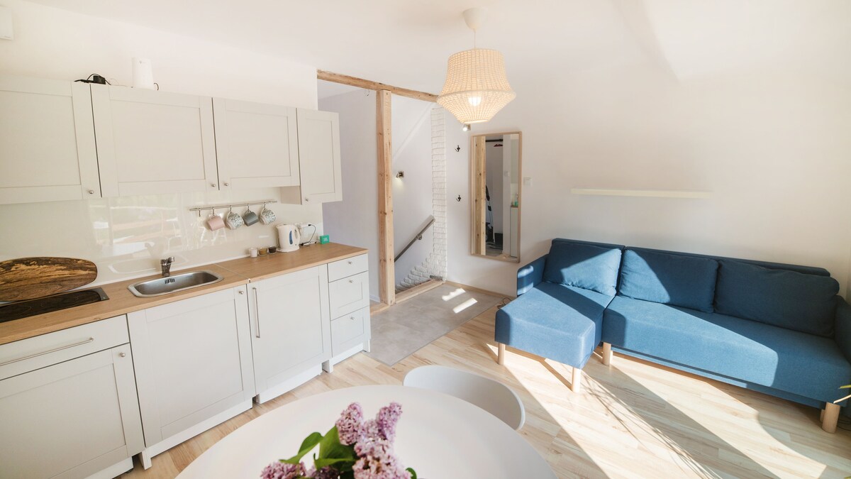 A light-filled kitchen area features modern cabinets and a stainless-steel sink, complemented by a dining table adorned with fresh flowers. A cozy blue sofa is situated across from the kitchen, creating a welcoming space that is both functional and comfortable.