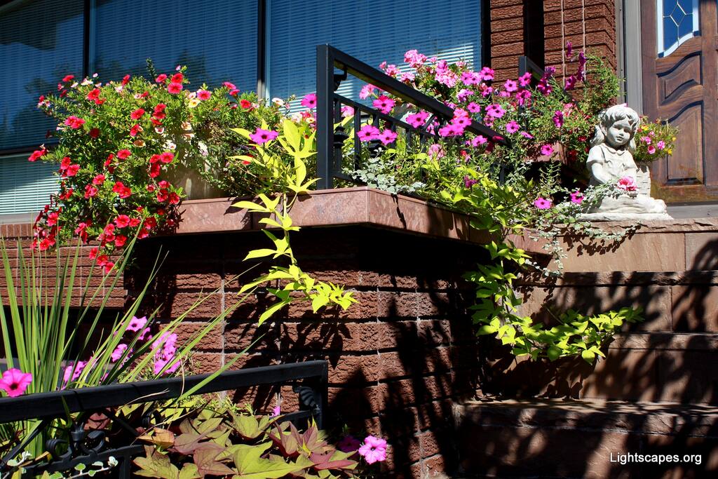 In the summer & fall, the home looks incredible! (Sept 2016)
