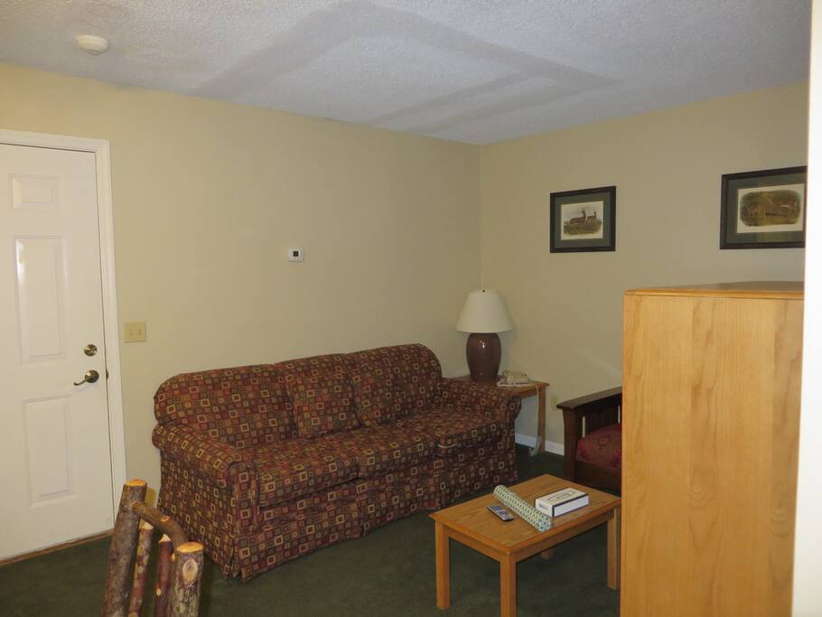 Entrance and Living area