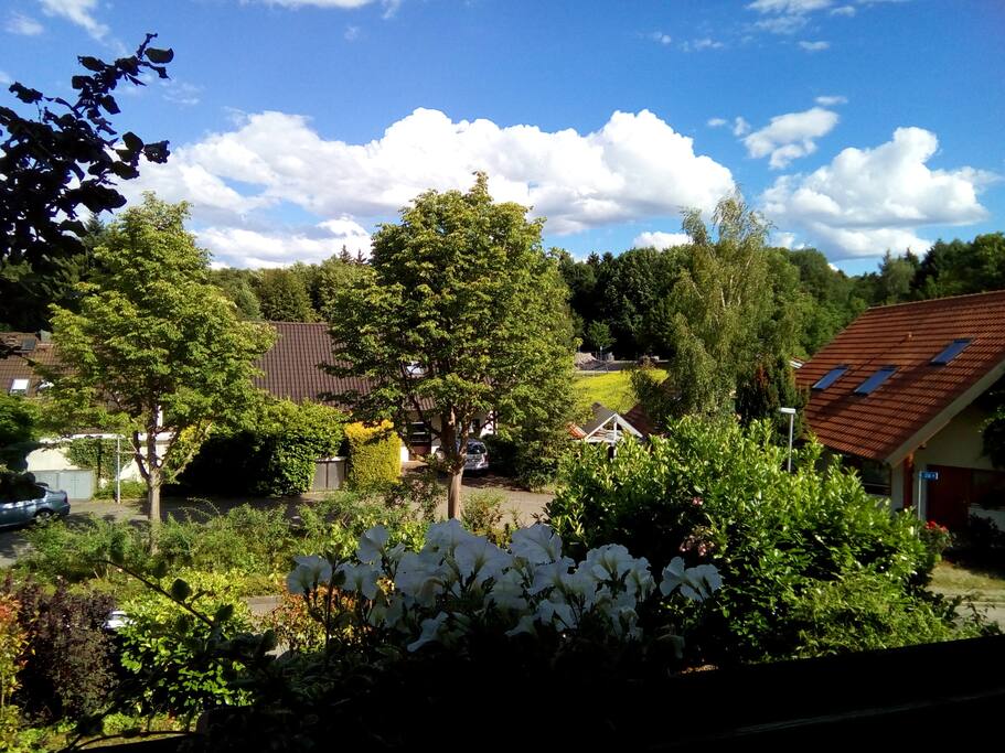 Ausblick vom Balkon der Studiowohnung
