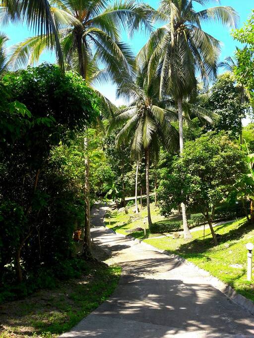 Private road