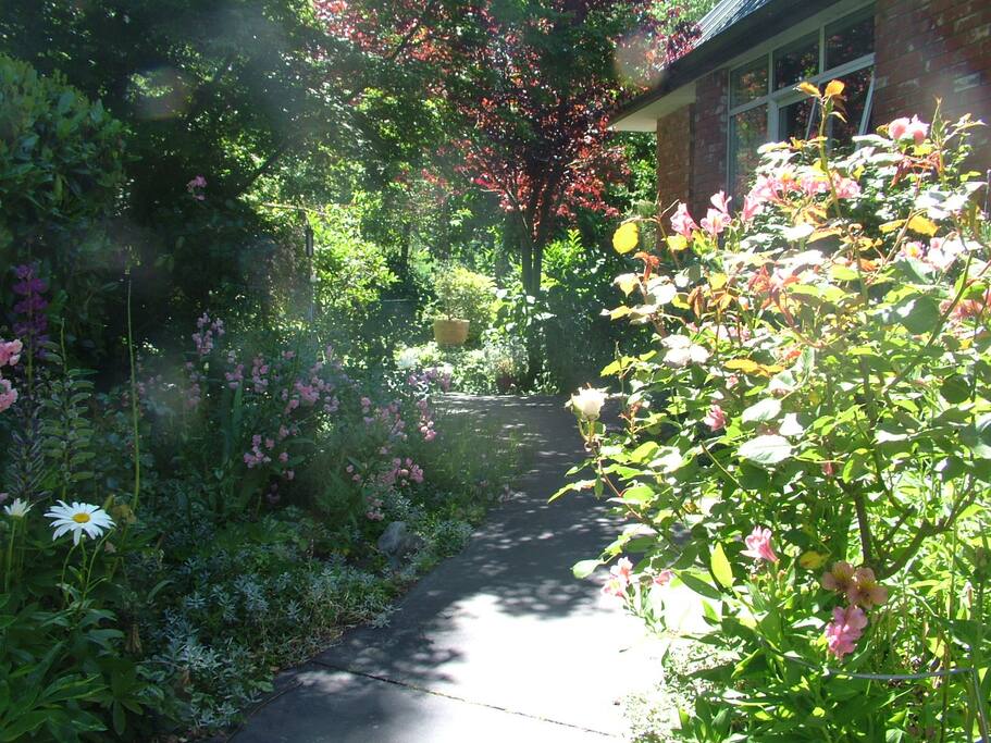 Lovely Garden Walks around the house with walking tracks to the river and beach just through the gate in our fence.